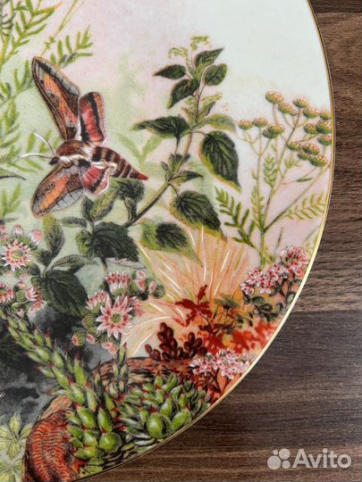 Тарелка настенная фарфор bernadotte 27 см