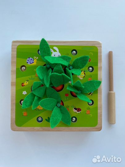 Деревянный сортер морковки, червячки