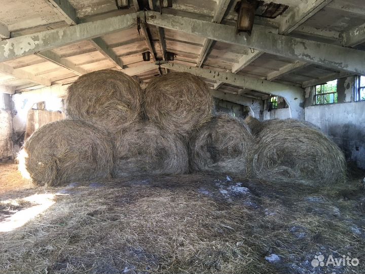 Сено в тюках
