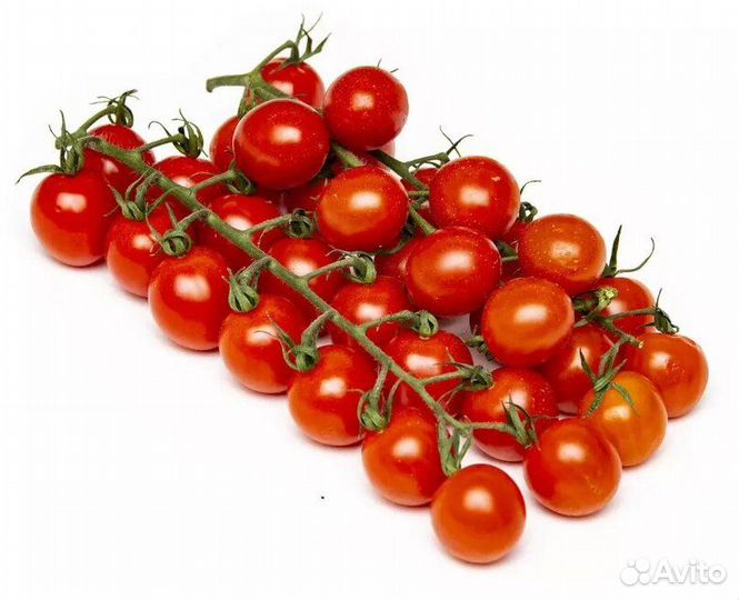 Семена и рассада помидор и других овощей