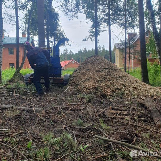 Аренда измельчителя веток, мульчер, дробилка веток