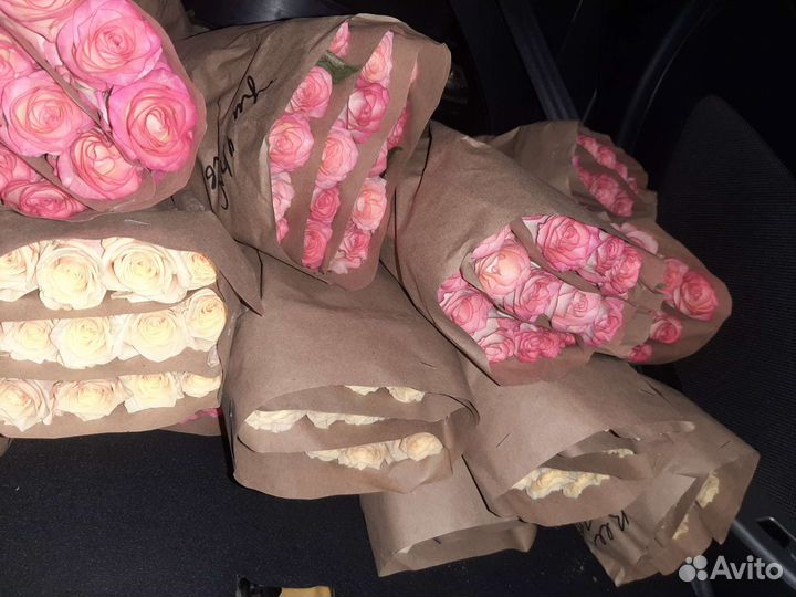 Розы свежие красивые 