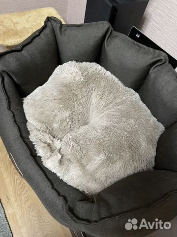 Лежанка для животных