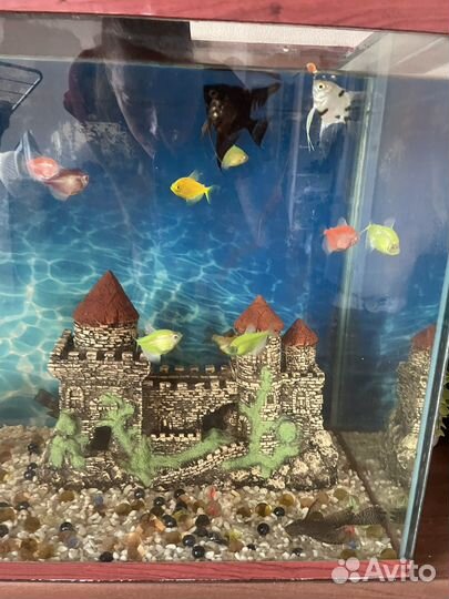 Аквариум