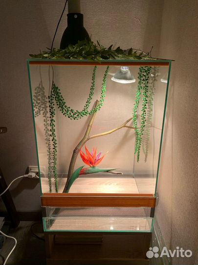 Террариум для хамелеона