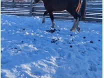 Размеры пособий в 2022 году. Выплаты на детей в 2022 году. Выплаты на 1 ребенка в 2022 году. Суммы пособий в 2022. Ежемесячные пособия на ребенка 2022.