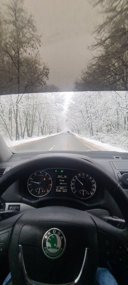 Skoda Octavia: фото владельца