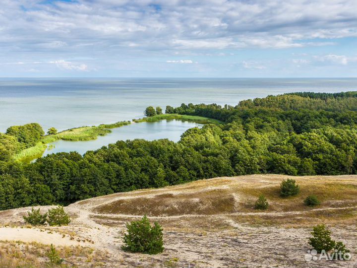 Светлогорск Топ-Экскурсия Из Светлогорска — на Кур