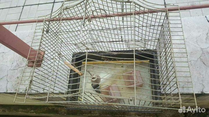 Клетка попугая/хомяка