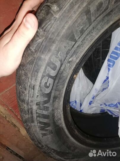 Nexen Winguard Ice 185/65 R15