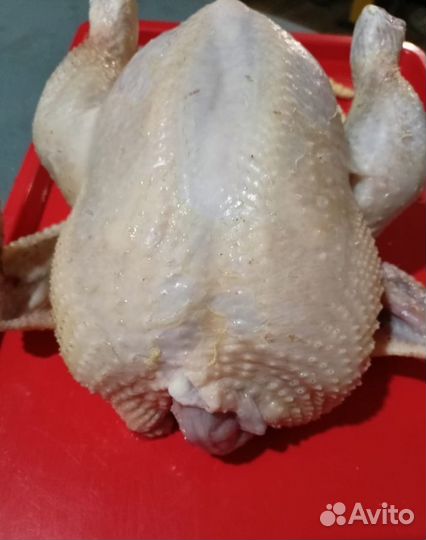 Продам мясо кур домашних