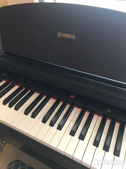 Цифровое пианино yamaha Digital Piano YDP - 121