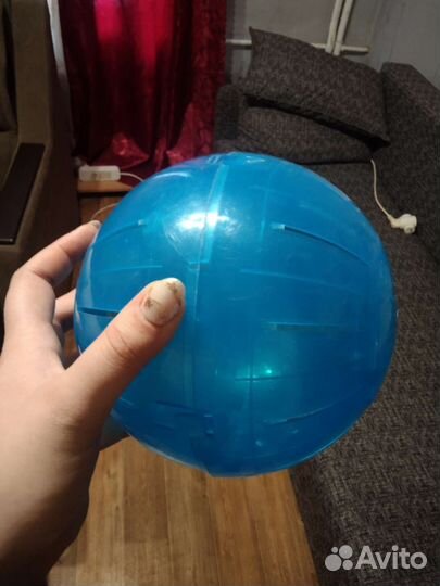 Шар для хомяка