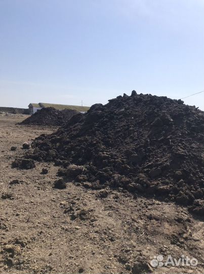 Продам перегной