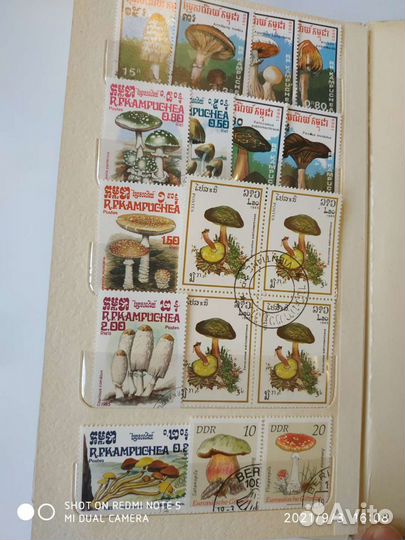 Марки - Флора - для детей