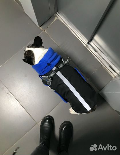 Попона зимняя для собак