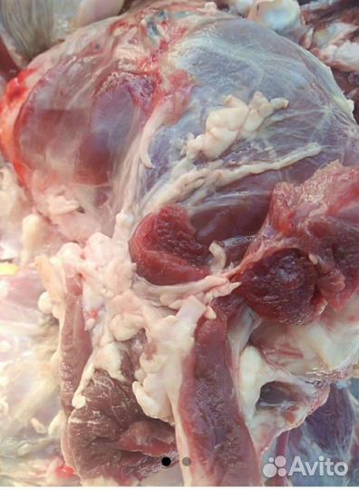 Мясо для собак,рубец,фарш,обрезь