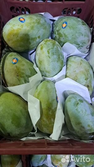 Манго, маракуйя, авокадо