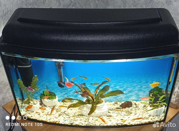 Аквариум с рыбками