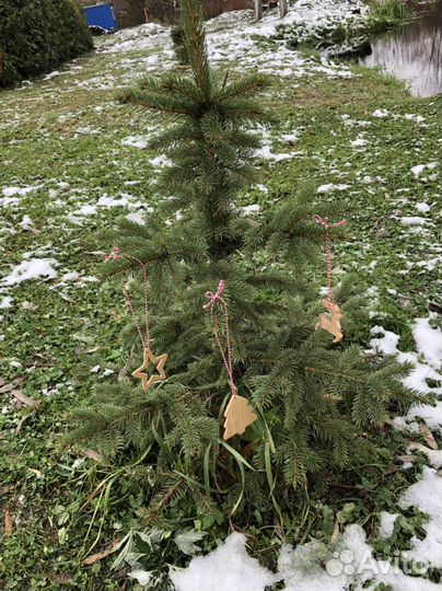 Новогодние игрушки