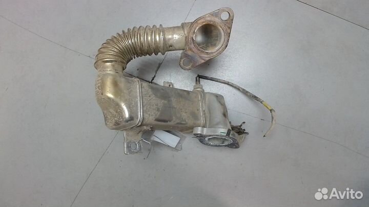 Охладитель отработанных газов Renault Trafic, 2017