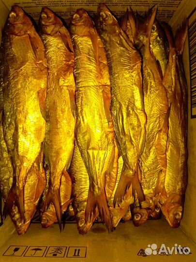 Сиг горячего копчения рыба