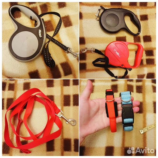 Амуниция для собак