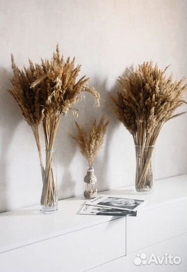 Декоративные букеты (Сухостой)