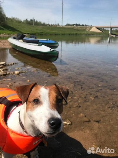 Байдарки аренда/прокат