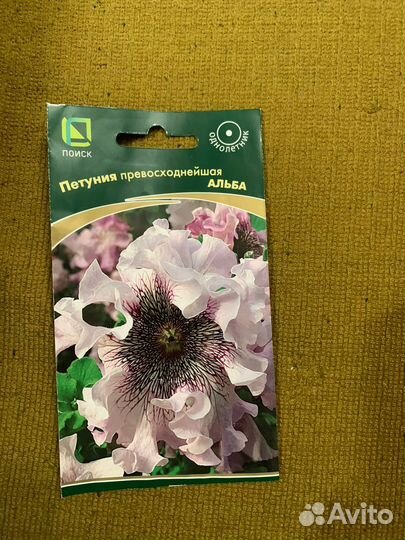 Рассада петунии