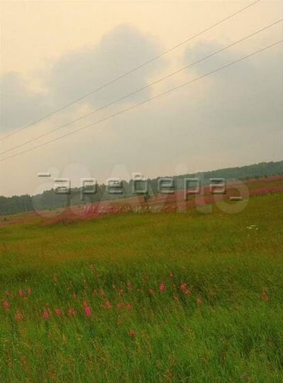 Участок 10,4 сот. (СНТ, ДНП)