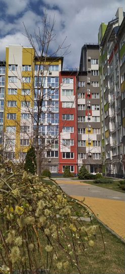1-к. квартира, 38,5 м², 5/10 эт.