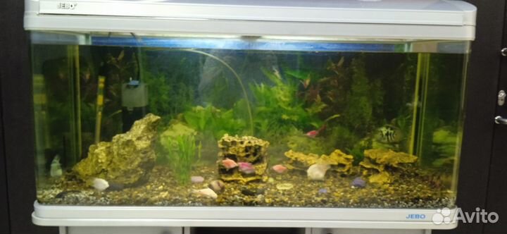 Аквариум с тумбой бу