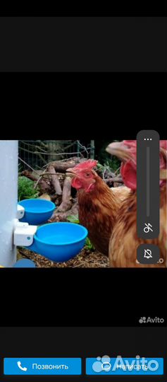 Чашечная поилка для кур