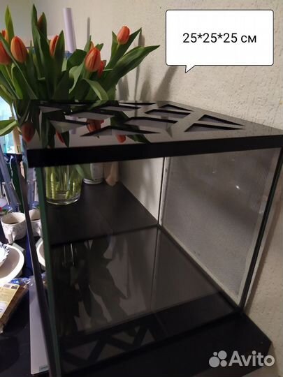 Террариум, инсектарий для пауков, богомолов