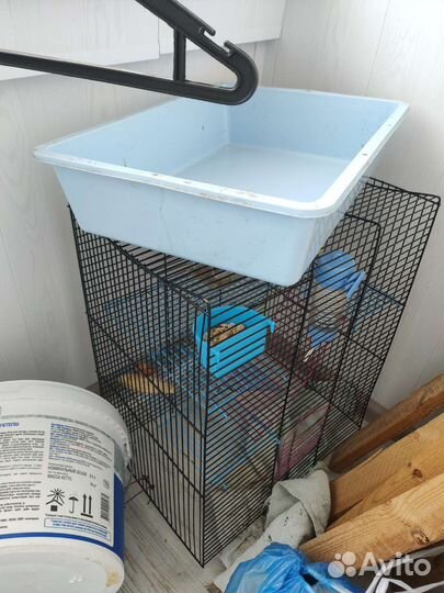 Клетка для крысы