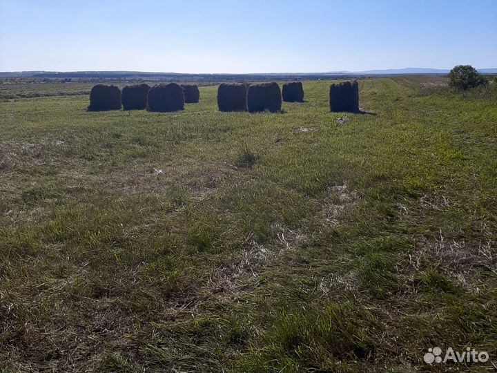 Сено в тюках и рулонах.солома