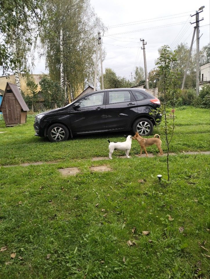 ВАЗ (LADA) XRAY: фото из отзыва