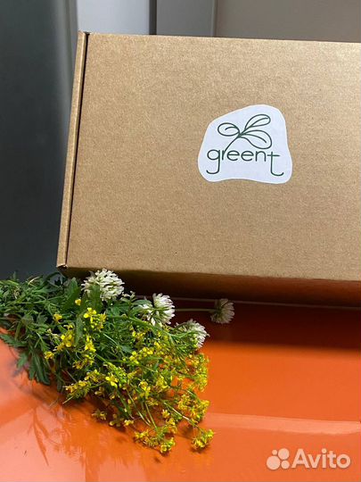 Подарок на новый год, микрозелень