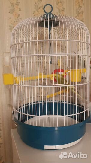 Клетка для волнистого попугая с попугаем