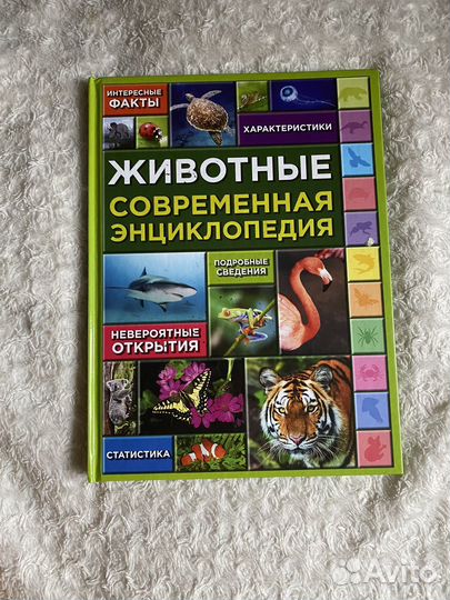 Энциклопедия современная животные