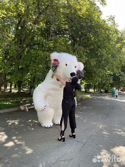 Белый мишка аниматоры