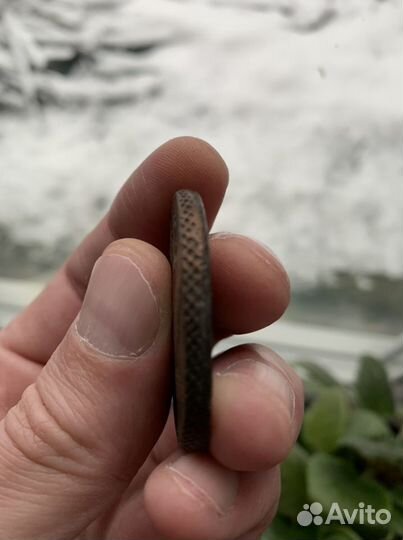 Монета старинная не подделка