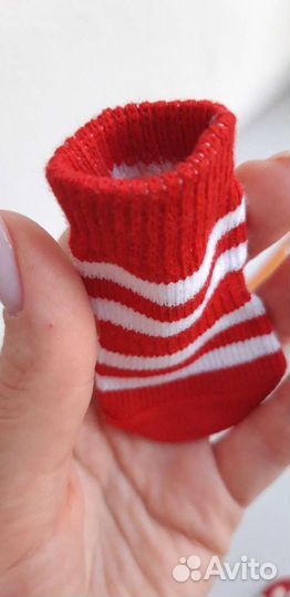 Носки для животных