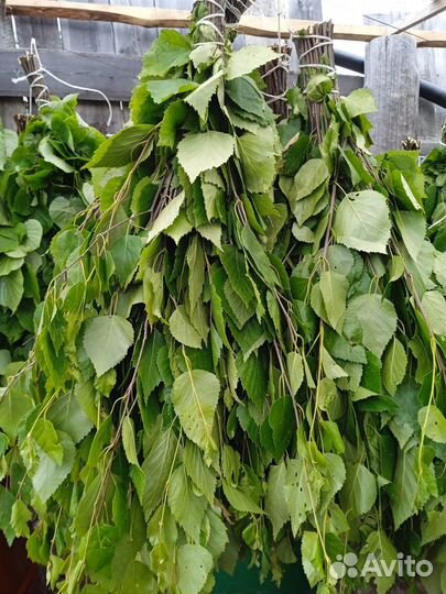 Веники для бани