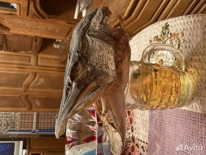 Чучело рыбы