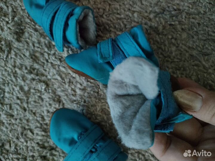 Обувь для маленьких собак