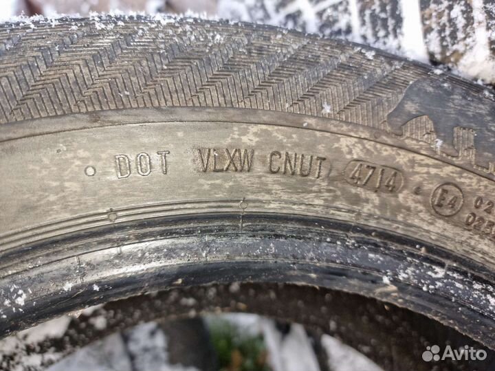 Gislaved NordFrost 100 205/60 R16