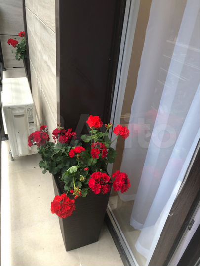 1-к. квартира, 35 м², 2/10 эт.