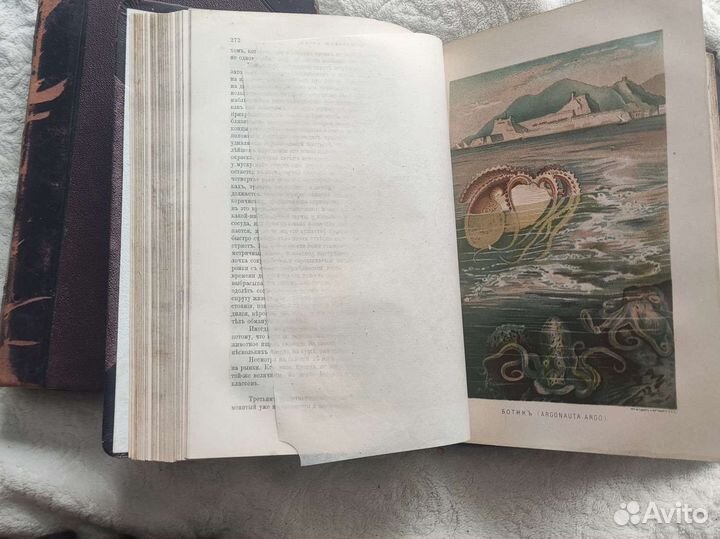 Антикварные книги. Брем А. Э. Жизнь животных